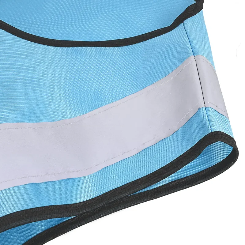 Hi-Vis Safety Vest blue fluorescent